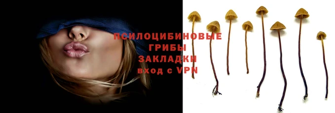 дживик Аркадак