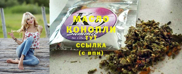 гидра Арсеньев