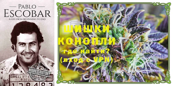 дживик Аркадак