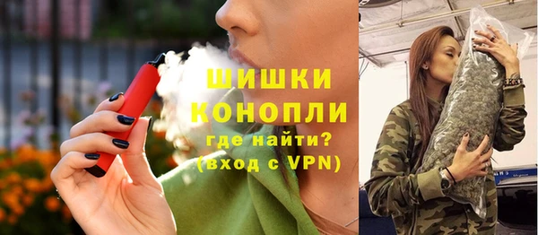 гидра Арсеньев