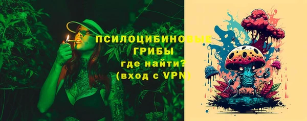 гидра Арсеньев